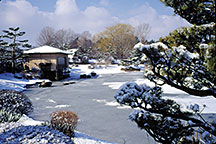 PHOTO: winter walk