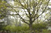 PHOTO: McDonald Woods