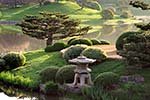 Japanese Garden