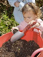 PHOTO: plant giveaway