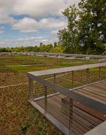 PHOTO: Green Roof Garden