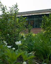 PHOTO: Rain Water Glen