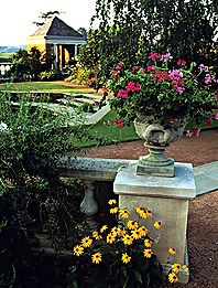 PHOTO: the Garden in bloom