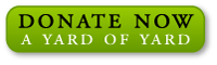 Donate now