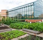 PHOTO: Greenhouse