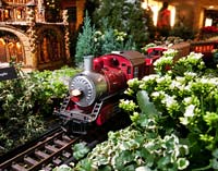 wonderland express Chicago Botanic Garden Wonderland Express