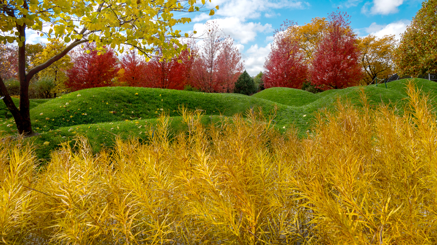 Nature Play Garden
