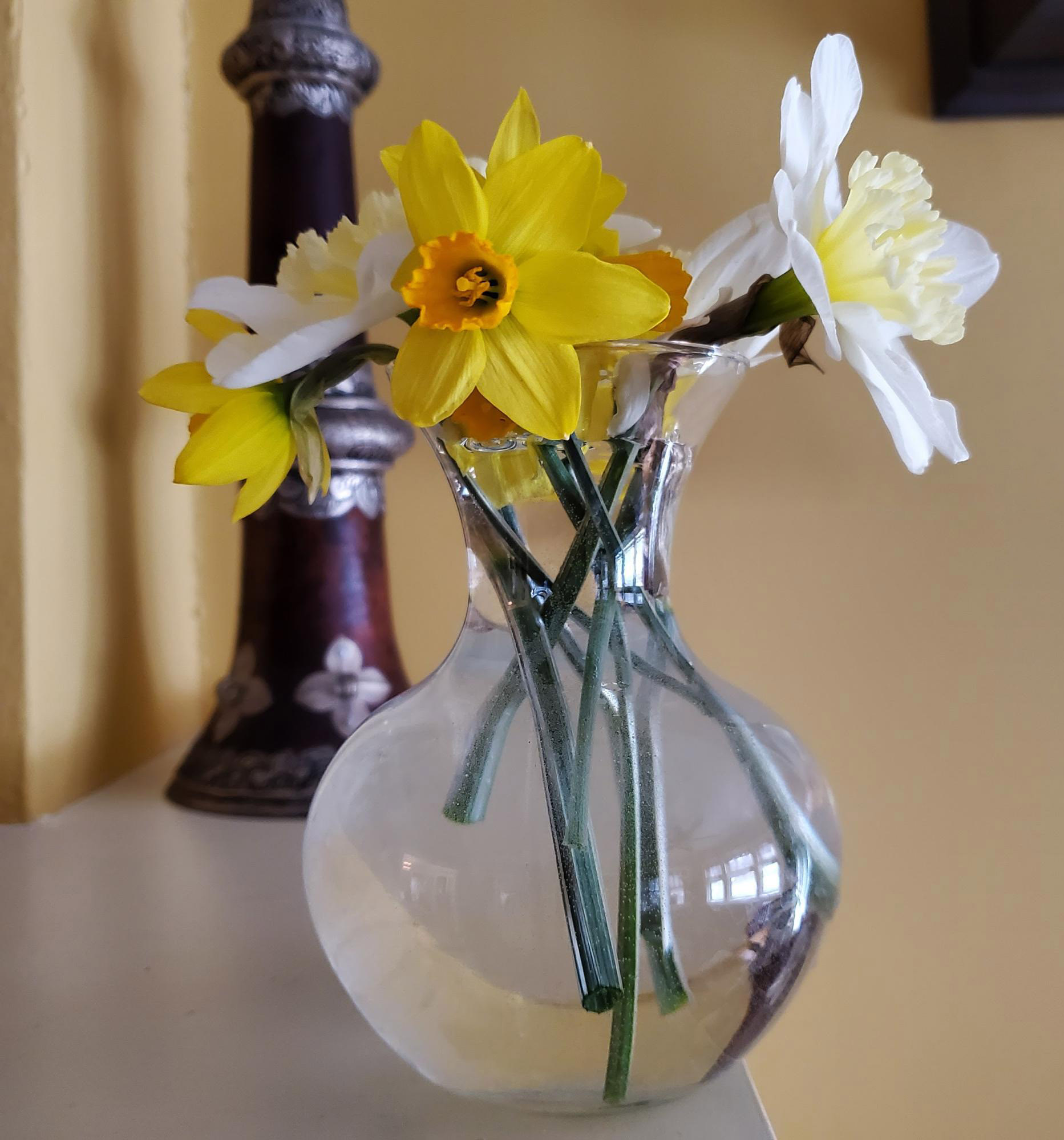 Daffodills in a vase