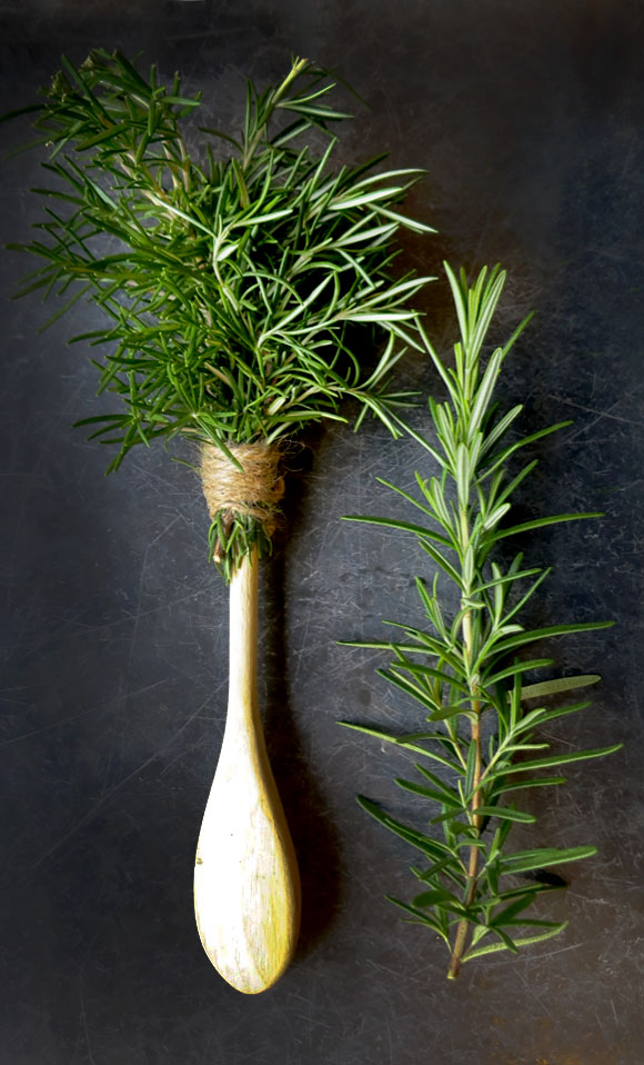 Herb Brushes for the Grill