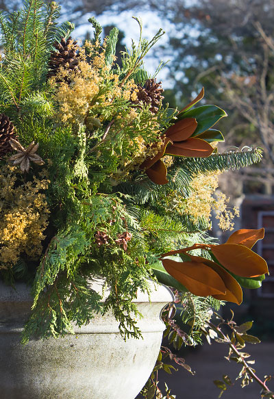 Winter Containers at the Garden