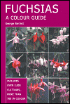 Fuchsias: A Colour Guide
