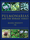 Pulmonarias and the Borage Family