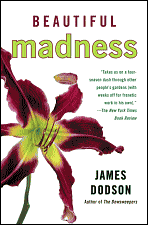 Beautiful Madness