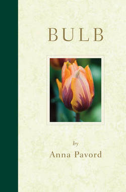 Bulb