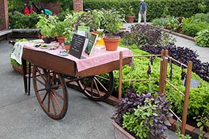 Herb Garden Weekend Herb Garden Weekend