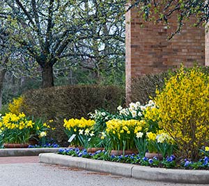 Entrance in spring