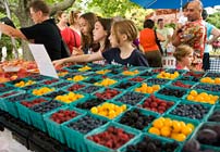 Chicago Botanic Garden Farmer's Market