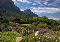 Kirstenbosch