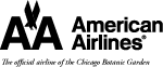 American Airlines