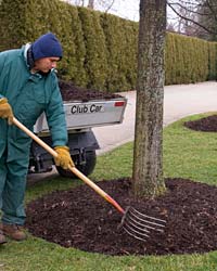 Mulch