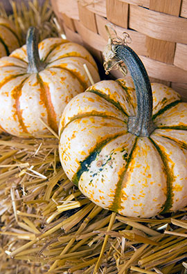 Pumpkins