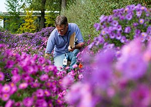 Plant Breeding