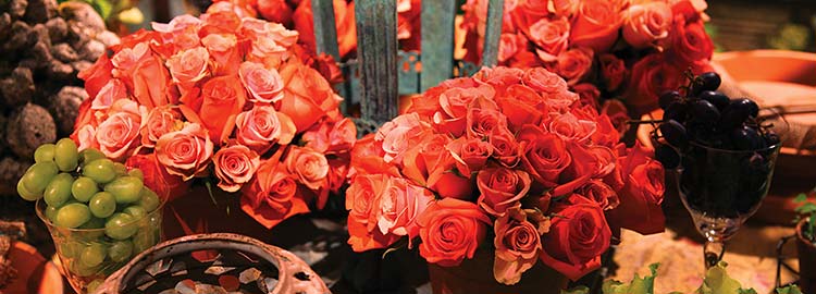 Antiques & Garden Fair