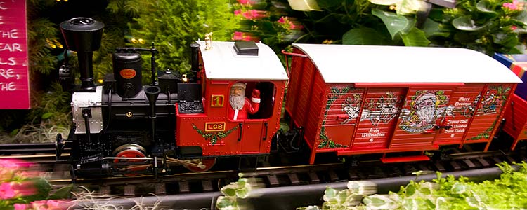 Wonderland Express