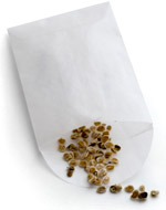 Seed Packet