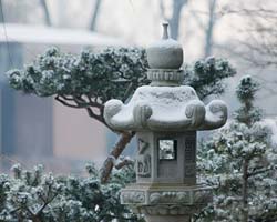 snow lantern