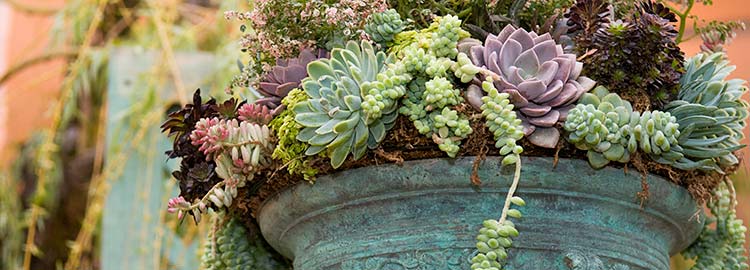 Antiques & Garden Fair