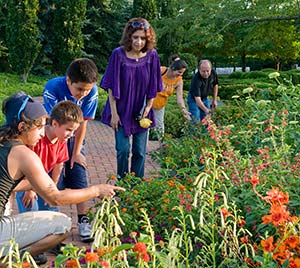 Chicago Botanic Garden Chicago Botanic Garden Hours Chicago