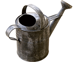 PHOTO: watering can
