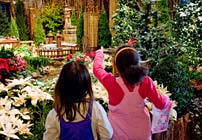 PHOTO: Wonderland Express Members' Night