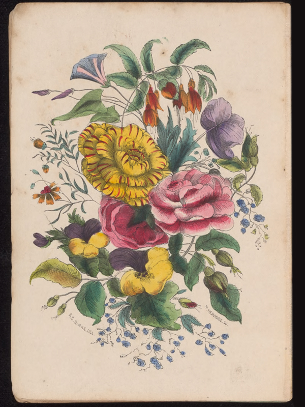 The Illustrated Language of Flowers by Anna Christian Burke, 1858