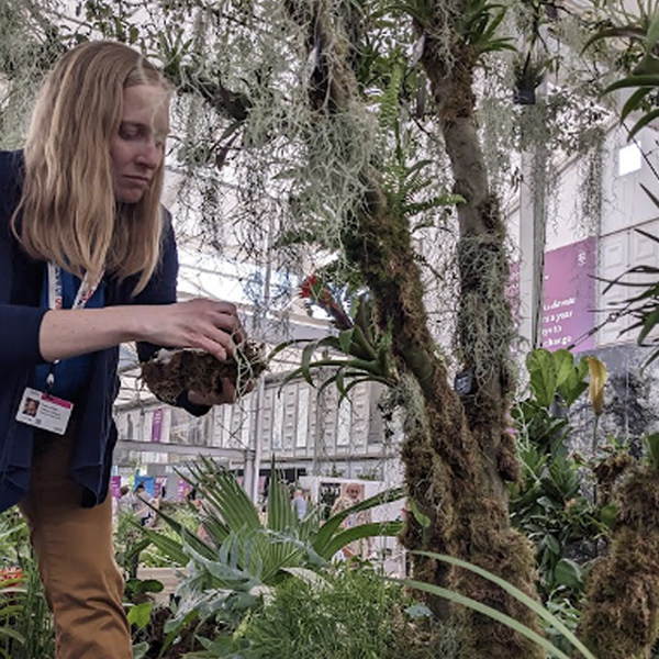 Johanna Hutchins, the Chicago Botanic Garden’s orchid floriculturist