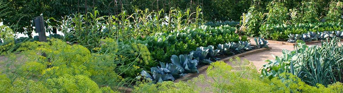 Chicago Botanic Garden Chicago Botanic Garden