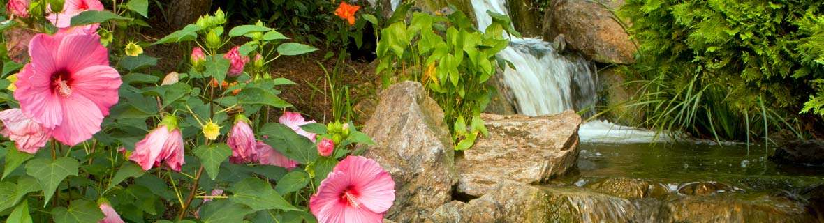 Chicago Botanic Garden Chicago Botanic Garden