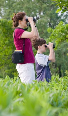 PHOTO: bird walk