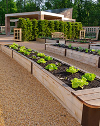 PHOTO: the Growing Garden vegetable beds