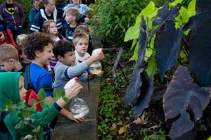 PHOTO: class in the Sensory Garden