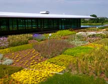 PHOTO: green roof