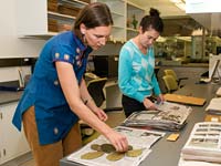 PHOTO: plant specimens