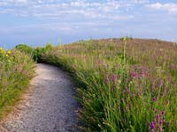 PHOTO: expanse of prairie