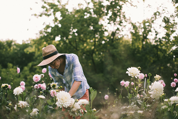 PHOTO: Heidi Joynt gathers flowers in the field.