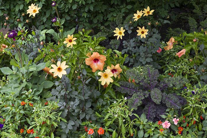 PHOTO: A snapshot of the Garden's entry beds.