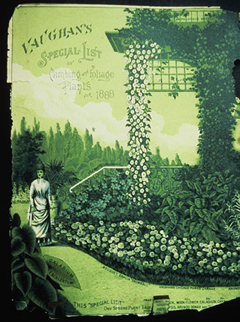 PHOTO: Vaughn's seed catalog cover