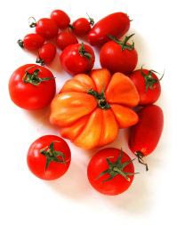PHOTO: heirloom tomatoes