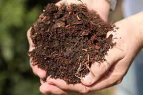 PHOTO: Add organic matter to garden beds for healthy soil.