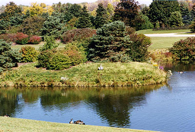 PHOTO: Spider Island before renovation.